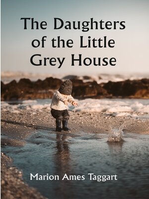 cover image of The Daughters of the Little Grey House